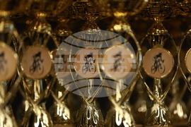 Награди - "Колоездач на годината 2024"