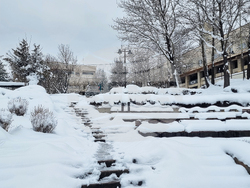 Смолян - сняг - заледени улици