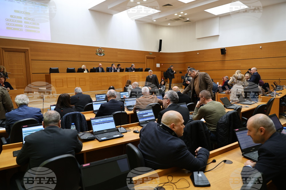 Община Пловдив отпусна заем от 82 300 лева за финансиране на проекта за техническа помощ за инвестиции в зоологическата градина