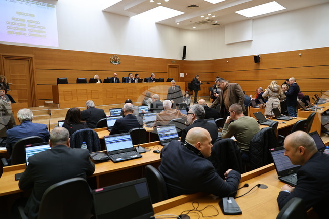 Община Пловдив отпусна заем от 82 300 лева за финансиране на проекта за техническа помощ за инвестиции в зоологическата градина