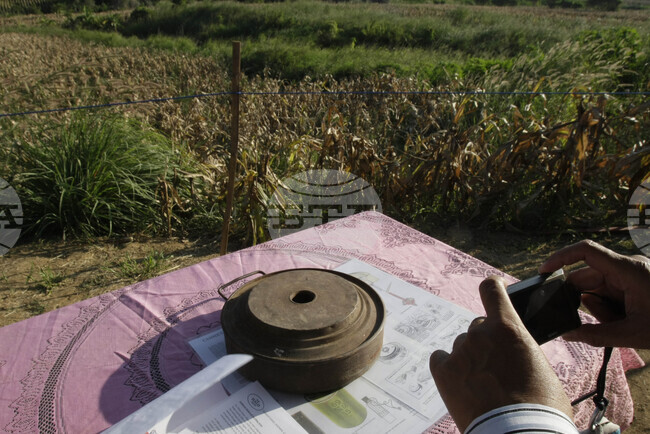 Организацията “Масам” е обезвредила близо 480 000 мини и опасни експлозиви в Йемен от създаването си през 2018 г. 