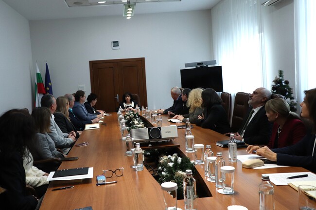  Ще положим всички усилия България да има отново стабилни публични финанси, каза новият министър на финансите Теменужка Петкова 