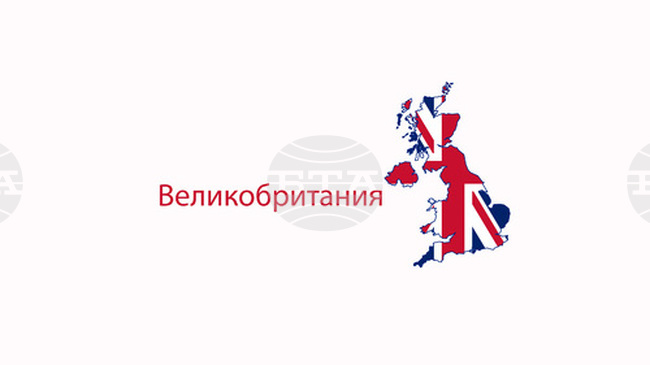 Kартина на Перуджино, открита в гараж, беше продадена за 685 000 британски лири