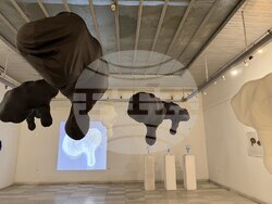 Снимка: Община Русе 