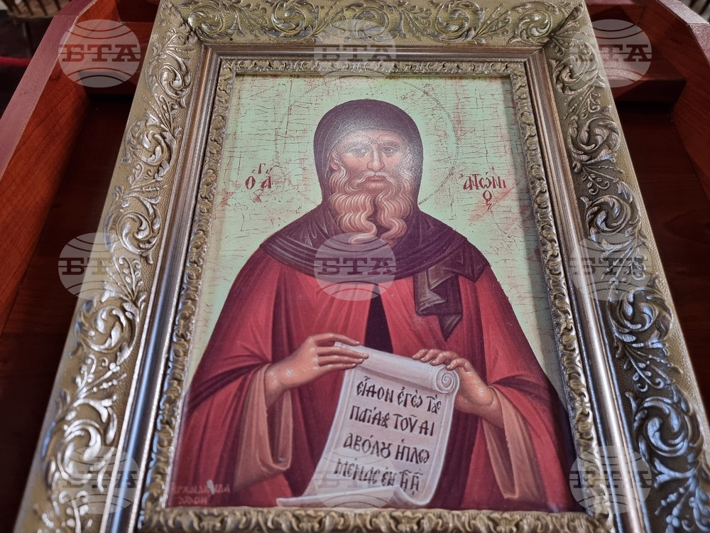 На Антоновден в област Видин празнуват 266 именици
