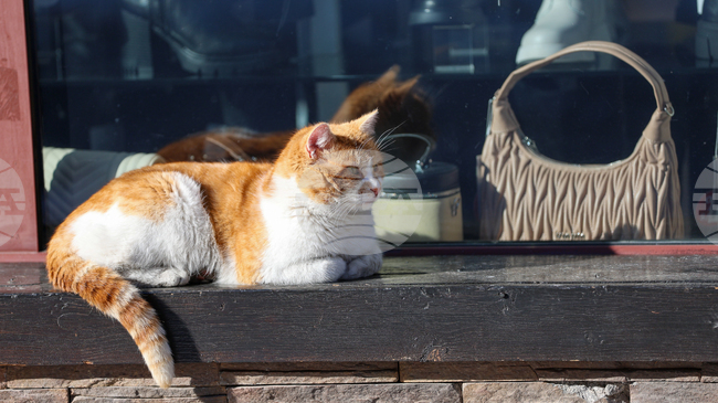 The Weather on January 20