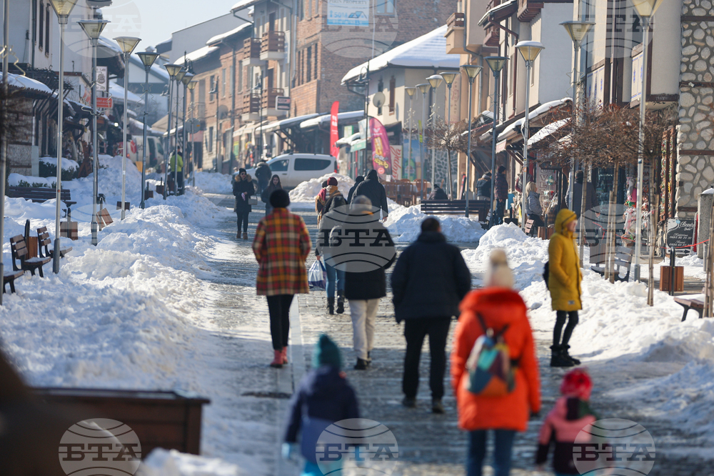 EU, Bulgaria See Record Number of Tourism Nights in 2024 - Eurostat
