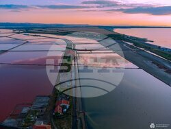 Снимка: Българска фондация Биоразнообразие