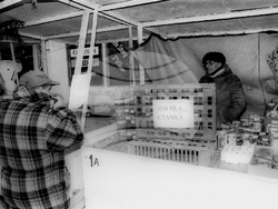 Архив - синдикати - национална стачка