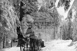 Зимна почивка в к.к. „Боровец“