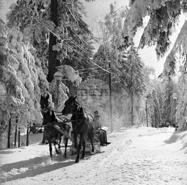 Зимна почивка в к.к. „Боровец“