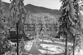 Зимна почивка в к.к. „Боровец“