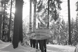 Зимна почивка в к.к. „Боровец“