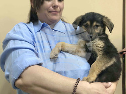 Снимка: Община Варна