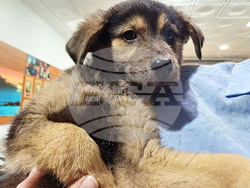 Снимка: Община Варна