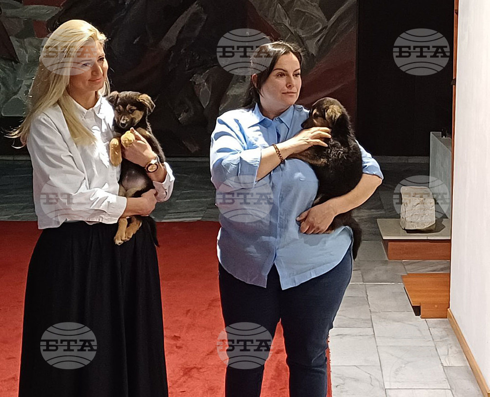 В ефир: Община Варна е с отворени врати не само за хората, но и за четириногите питомници от Приюта за безстопанствени кучета в с. Каменар