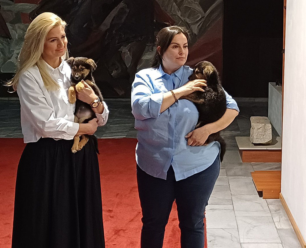 В ефир: Община Варна е с отворени врати не само за хората, но и за четириногите питомници от Приюта за безстопанствени кучета в с. Каменар