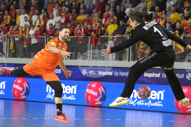 Германия, Хърватия, Норвегия, Нидерландия, Египет и Португалия се класираха за основната фаза на Световното първенство по хандбал за мъже