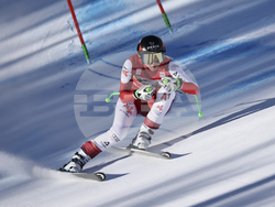 Italy Alpine Skiing World Cup