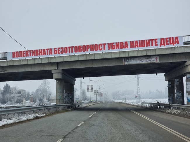 Предпазна мрежа и осветление ще бъдат поставени на участъка от пътя Кюстендил – София, където загина 18-годишно момиче при инцидент с коне