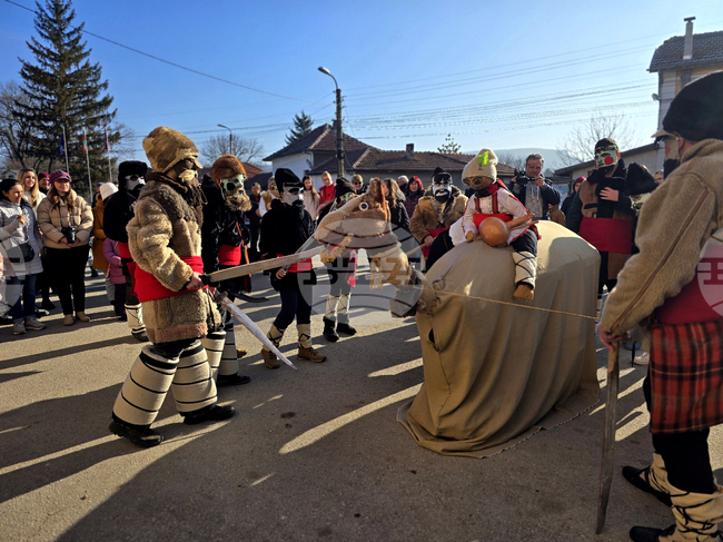 Село Йоглав - обичай „Камилата“