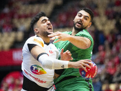 Denmark Handball Worlds