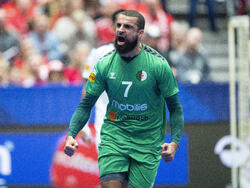 Denmark Handball Worlds