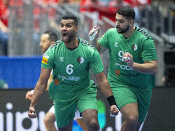 Denmark Handball Worlds