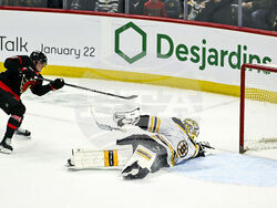 Bruins Senators Hockey