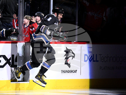 Penguins Capitals Hockey