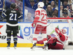Red Wings Lightning Hockey
