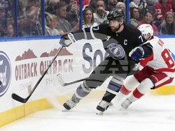 Red Wings Lightning Hockey