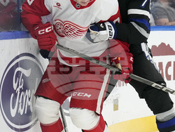 Red Wings Lightning Hockey