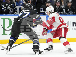 Red Wings Lightning Hockey