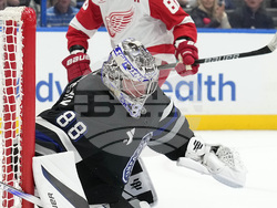 Red Wings Lightning Hockey