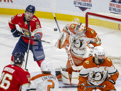 Ducks Panthers Hockey