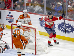 Ducks Panthers Hockey