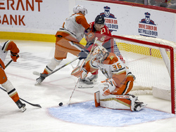 Ducks Panthers Hockey