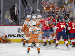 Ducks Panthers Hockey