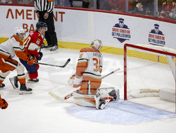 Ducks Panthers Hockey