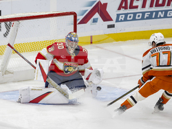 Ducks Panthers Hockey