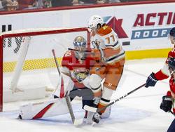Ducks Panthers Hockey