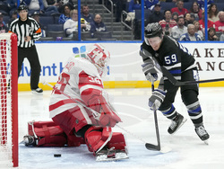 Red Wings Lightning Hockey