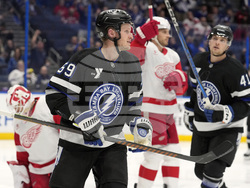 Red Wings Lightning Hockey