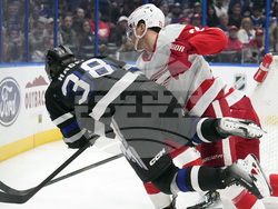 Red Wings Lightning Hockey