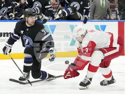 Red Wings Lightning Hockey