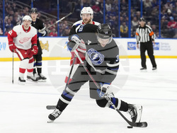 Red Wings Lightning Hockey