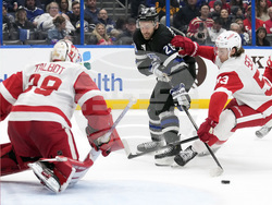 Red Wings Lightning Hockey