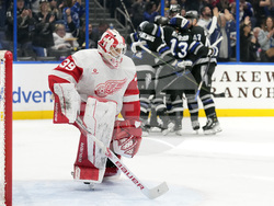 Red Wings Lightning Hockey