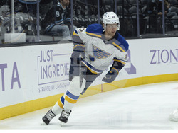 Blues Utah Hockey